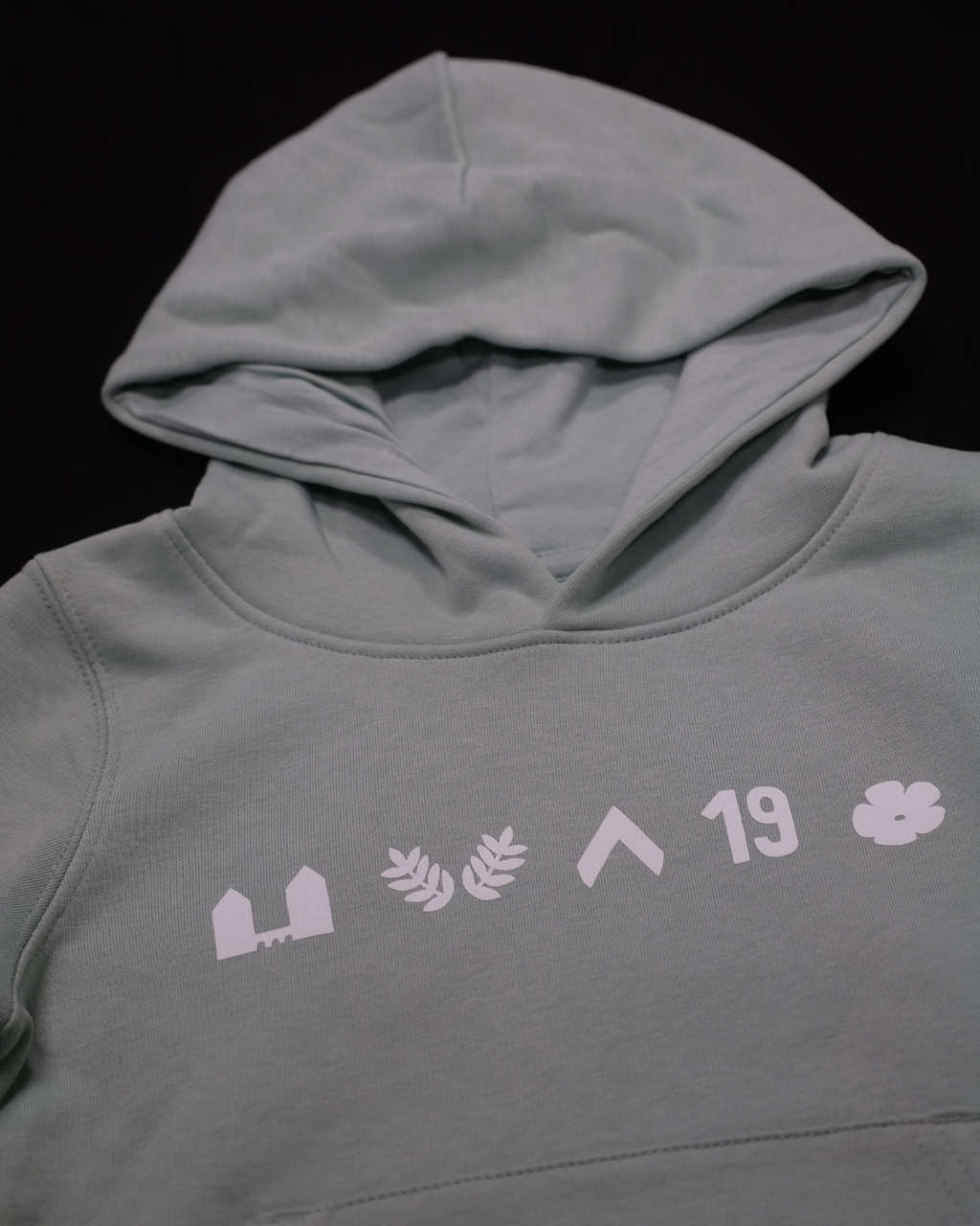 Hoodie Kèrl - appelblauwzeegroen - icoontjes - Kids