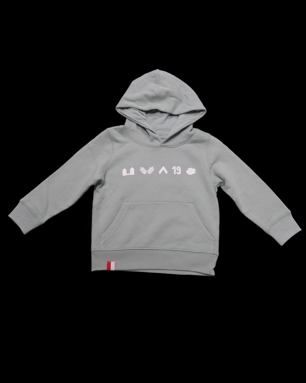 Hoodie Kèrl - appelblauwzeegroen - icoontjes - Kids